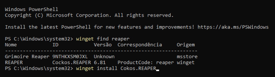 Winget Reaper Install